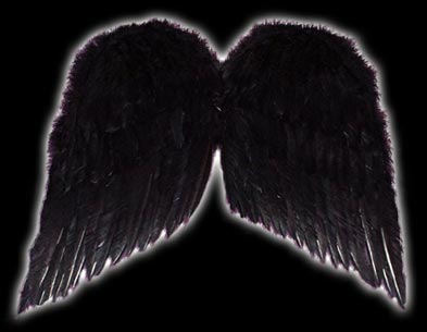 Small Feather Wings